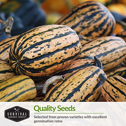 Survival Garden Seeds Winter Squash Collection Seed Vault - Non-Gmo Heirloom Varieties For Planting And Growing In The Vegetable Garden - Butternut, Delicata, Pink Banana, And Spaghetti Squash #TOP1