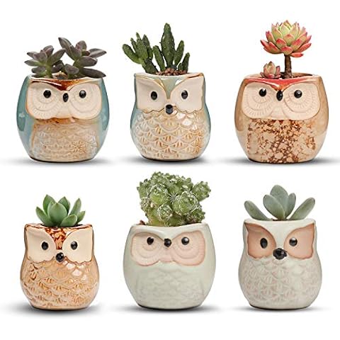 T4U Owl Succulent Planter Pot Cover