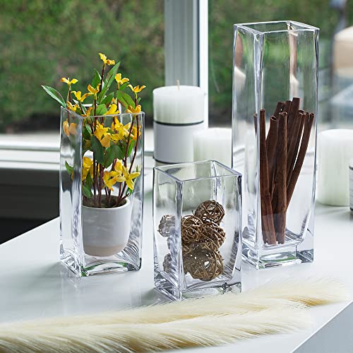 Enova Floral Clear Square Glass Vase, 8X4X4 Inch Glass Vase For Flowers, Decorative Candle Holders Glass Vase, Flower Bouquets Vase For Wedding Centerpieces, Home Office Décor (1 Piece) #TOP5