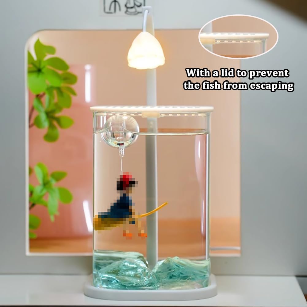 Mini-Desktop-Glas-Fischbecken mit LED-Licht – hohe Transparenz kleines Aquarium für Anfänger, verdicktes tragbares Design, ideale Raumdekoration und Ornament