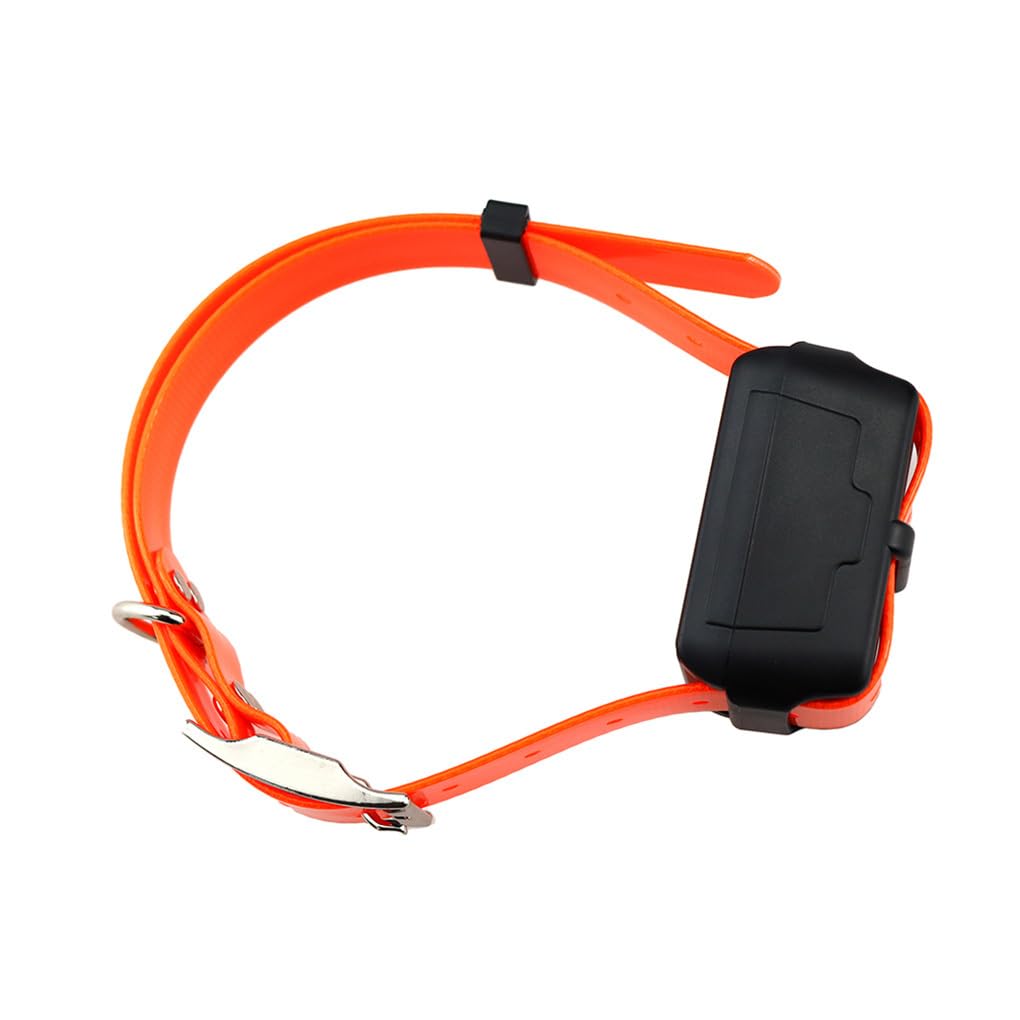 Collier de sécurité pour Chiens avec Suivi GPS 4G en Temps réel et géorepérage, idéal pour la sécurité extérieure.