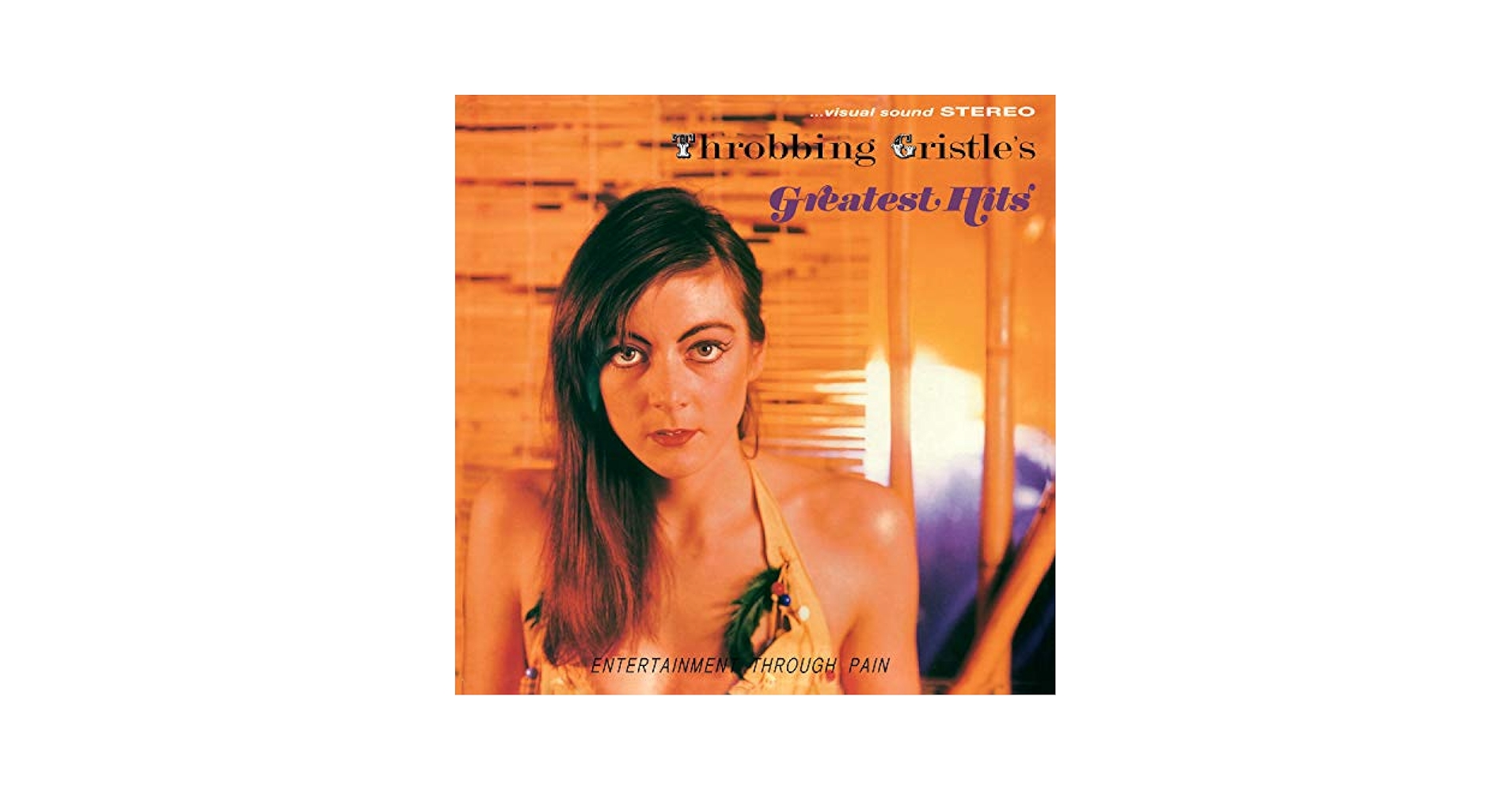 欧LP Throbbing Gristle Throbbing Gristles Greatest Hits (Entertainment Thr TGLP7 Mute /00260 Mi5qcGVn.jpeg