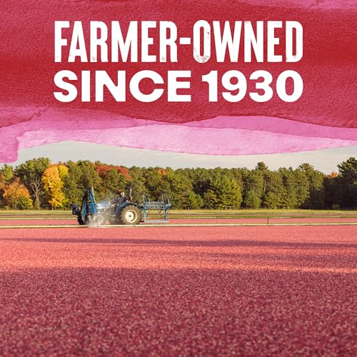 Image of Ocean Spray Craisins Sweetened Dried Cranberries, Flavor Pack (Sour Blueberry Lemon, Chili Lime, Cherry)