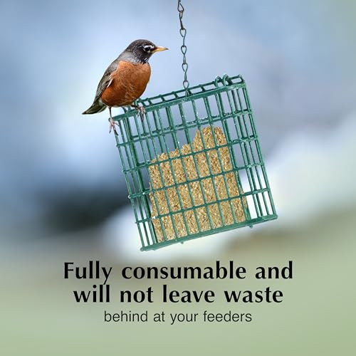 Image of C&S Berry Delight No Melt Suet Dough, Suet Cakes for Wild Birds Including Robins, Blue Jays, Bluebirds, Tanagers, Thrushes and More, 11.75 Ounces, Pack of 8
