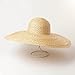 Bollrllr Classical Big Brim Round Top Hat for Women Ladies Straw Fedoras Outdoor Sun Hat Beach Hat
