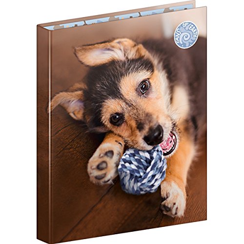 BRUNNEN Ringbuch A4 2R 20mm FoE