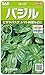 サカタのタネ 実咲ハーブ8080 バジル ハーブ 00928080 緑