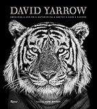  David Yarrow Photography: Americas Africa Antarctica Arctic Asia Europe