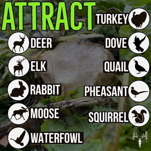 Crooked Bend Dwight’s Pure Sugar Beet Seed for Deer, 6LB EcoPack, Planting Seeds Grow Whitetail & Turkey Hunting Food Plot Attractants, Winter Root Crop & Cold Tolerant Forage Feed Wildlife, No Coat