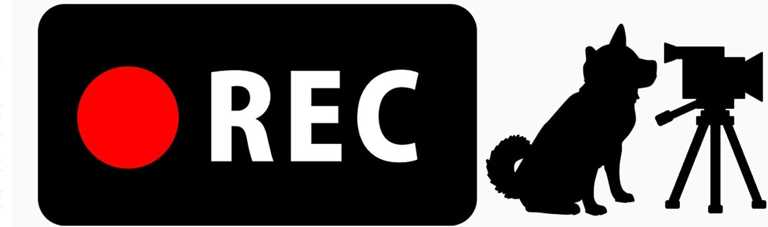 ドライブレコーダー搭載ステッカー 「柴わんことビデオカメラ」 Banner Type (背面の狭いSUV・スポーツワゴン向け) (再剥離シール) (5.2cm×14.8cm) b16r