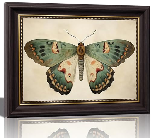 Framed Vintage Butterfly Canvas Wall Art Dark Moody Insect Painting