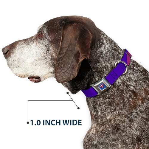 Collier de chien ajustable Buckle Down Bizzaro Logo 9-38cm - 7