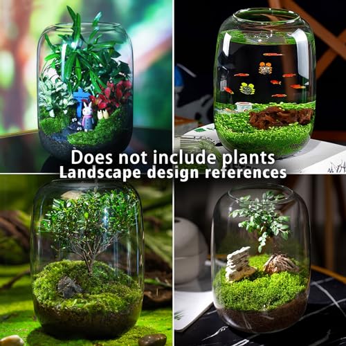 Image of SARUFO Glass Plant Terrarium 6.3 inchX8.6 inch Inches Succulent Air Planter Fern Moss Micro-Landscape Vase for Home Garden Office Tabletop Decoration Container Indoor Wardian Copyright Patent