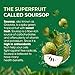 VINUT Soursop Juice Drink with Pulp (Guanabana), 55% Real Fruit Juice, NFC, Halal, 16.57 Fl Oz (490mL) Can (Pack of 12)