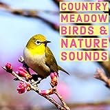  Country Meadow Birds & Wildlife