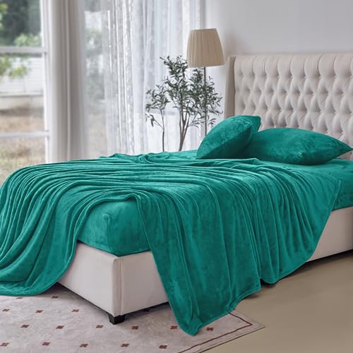 Elegant Comfort Luxuriously Soft 4-Piece Velvet Plush Flannel Sheet Set - Premium Quality - Cozy Warm, Anti-Static, Non Pilling Fuzzy Velvet Flannel Fleece Deep Pocket Sheet Set - Twin XL, Turquoise