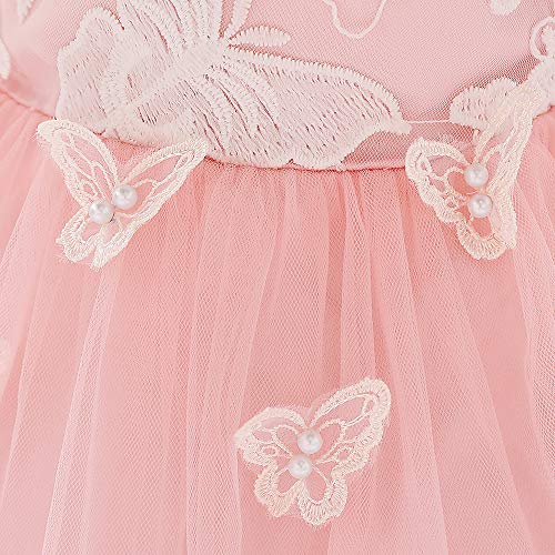 Baby Girls Birthday Dress Infant Ruffled Butterfly Embroidered Special Occasion Dresses (70/6-12M, Pink) #TOP4