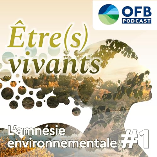 Amn&eacute;sie environnementale