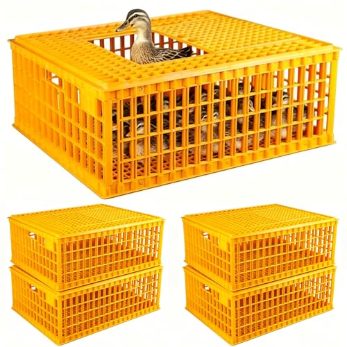 2 PCS Heavy Duty Plastic Poultry Carrier Crate 29 x 21.3 x 13 Inch Chicken Transport Cage Box Portable Livestock Travel Crate for 10-13 Adult Chickens Ducks Geese Poultry Birds