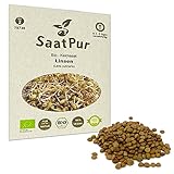 Linsen (Grün) BIO Keimsprossen von SaatPur - Sprossen Keimsaat Microgreen - 75g