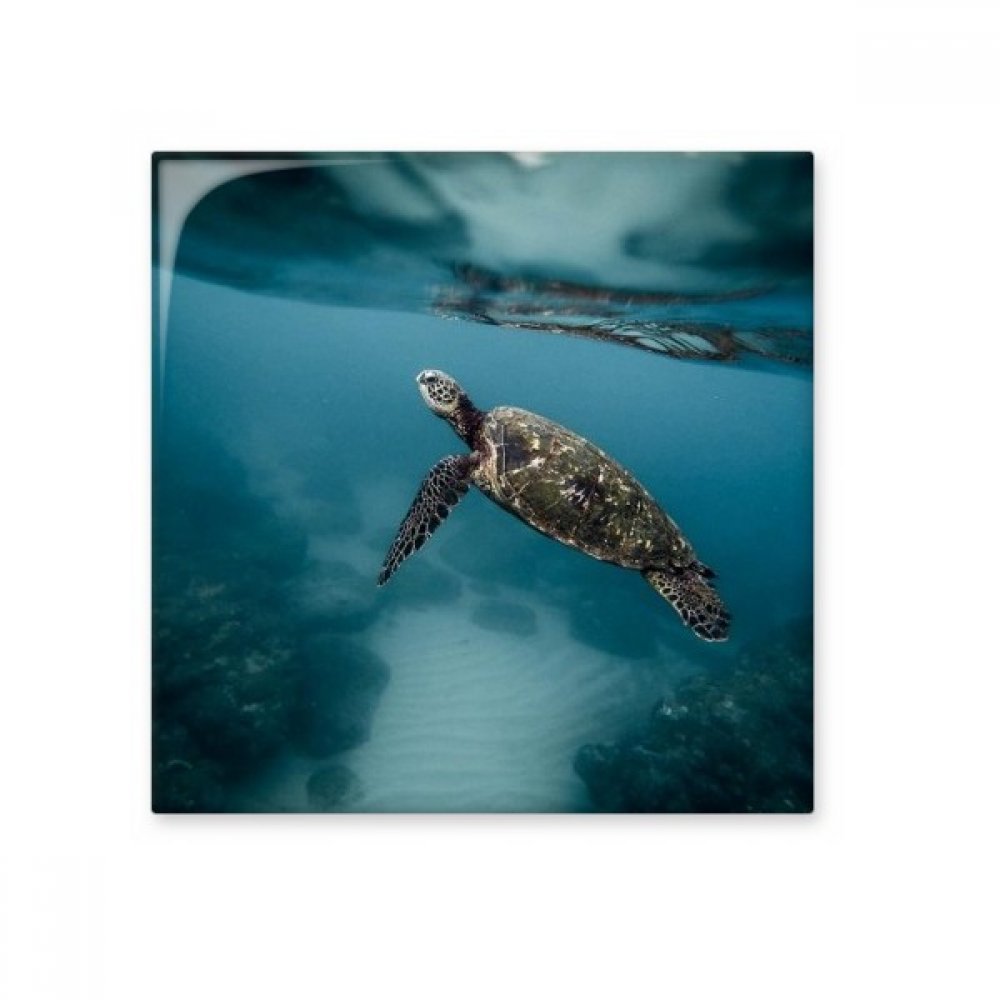 Carreaux de céramique d'art Tortue de mer Océan, faïence haut de gamme pour intérieur chic
