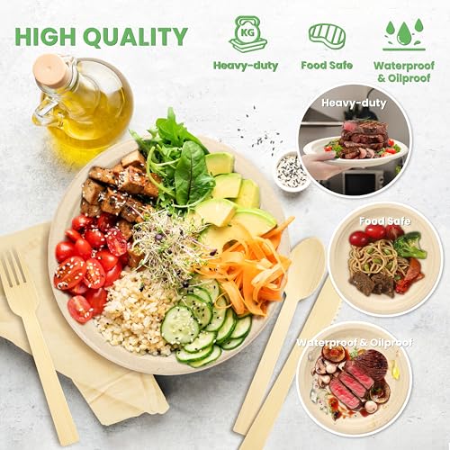 Platos y cuencos compostables resistentes que protegen el planeta en tus comidas 5