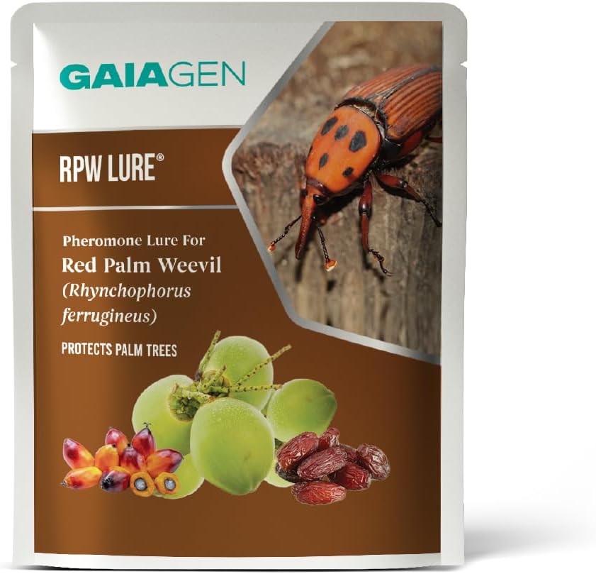 Rpw Lure - Pheromone Lure For Red Palm Weevil (Rhynchophorus Ferrugineus) | Pack Of 5 | (Does Not Include Traps).