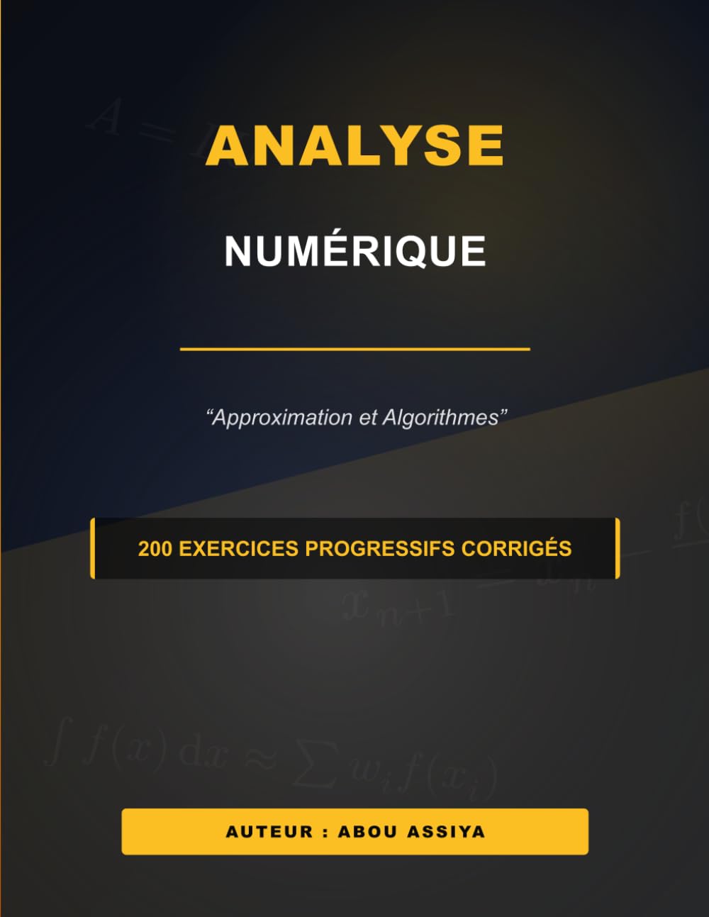 Analyse Numérique: Approximation et Algorithmes - 200 exercices progressifs corrigés
