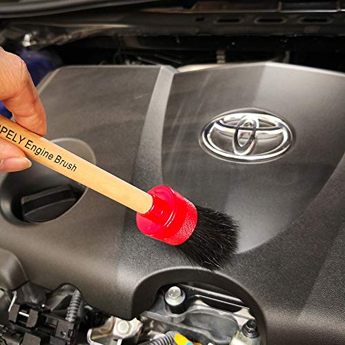 image for IPELY Natural Boar Hair Premium Detail Brushes for Engines, Wheels, In