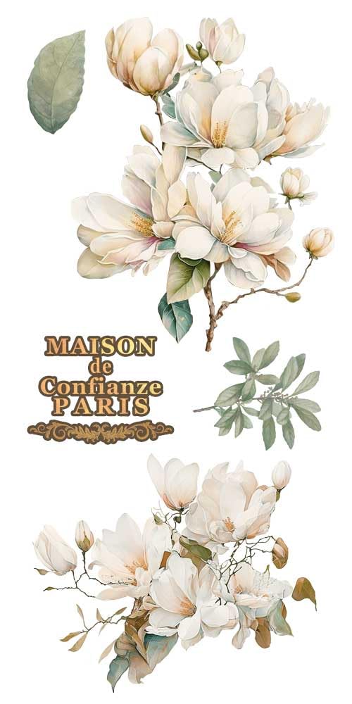 Papers For You - Trasferimenti decorativi per artigianato e mobili/adesivi di trasferimento decorativo/15 x 30 cm 6"x 12" 4 fogli (Magnolie)