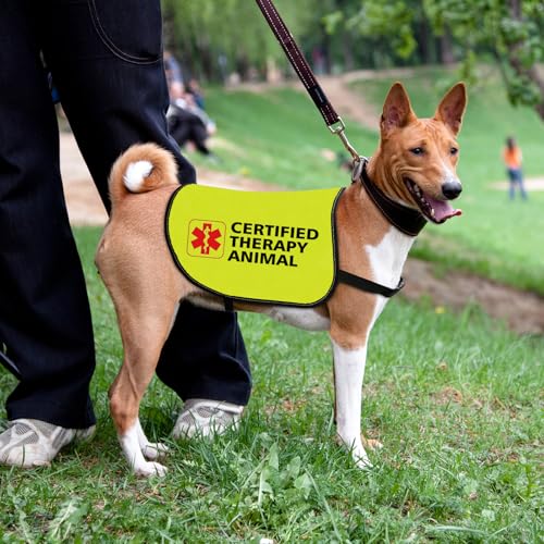 Certified Therapy Dog Jacket - Vest with 'Please Feel Free to Pet Me' Slogan - Social Distancing Gift - Large - Image 4