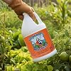 Neptunes Harvest Organic Crab & Lobster Shell Multi-Purpose Liquid Fertilizer (2-0-2) - 1 Gallon Bottle - Rich in Nutrients Soil Fertilizer - Plant Food for Lawns, Gardens, and Vegetables