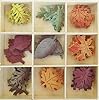 Autumn Leaves Painted Miniature Wood Cutout Shapes - 45 Pieces - for Craft, Decor, Scrapbooking, and More #3