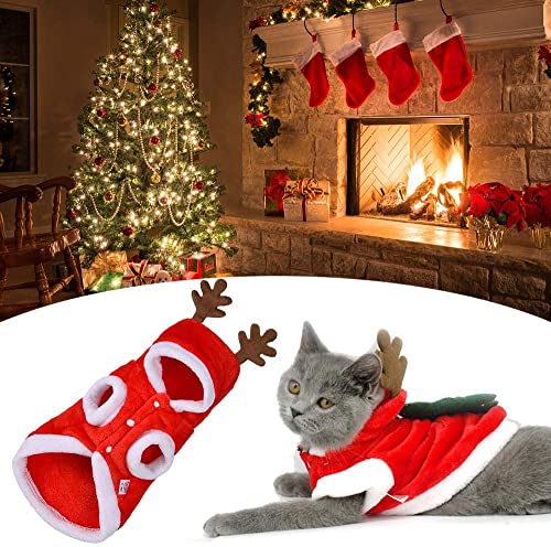 Vestiti dell'animale Domestico di Natale, Vestiti