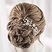 Catery Flower Bride Wedding Hair Pins Crystal Pearl Hair Set Jewelry Headpieces Bridal Decorative Hair Accessories for Women Pack of 2 (Gold)