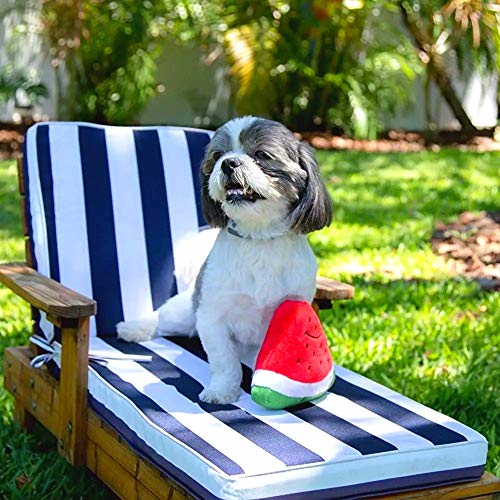 Midlee Smiley Juguete Sonoro para Perro 5" miniatura 3
