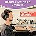Imagen de Morphée Zen