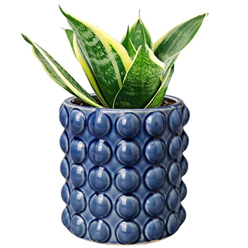 6 Inch Ceramic Planter Pot for Indoor Plants with Drainage Hole Bubble Flower Planter Hobnail Plant Pot Garden Planter Blue Succulent Plant Pot Utensil Holder by DILATATA - Used condition - US$17.65