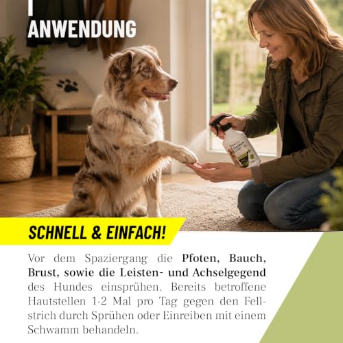TESTURTEIL SEHR GUT 2026 ReaVET Grasmilben-Spray für Hunde 500ml – Sofortschutz gegen Grasmilben + Hautpflege mit Mandelöl I 2-in-1 Milbenspray – Milben-Abwehr & Pflege für gereizte juckende Haut