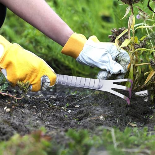 Ancinho de mão de jardim,Ferramenta de jardim de ancinho de mão,Ferramentas de cultivo de aço inoxid