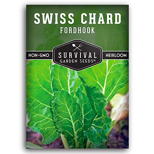 Fordhook Giant Swiss Chard Seeds for Planting – Heirloom Green Chard with White Stems – Cool or Warm Weather Crop for Indoor & Outdoor Gardens – Non-GMO – Survival Garden Seeds (1 Pack)