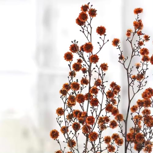 Ramo de flores secas cardo 23 pulgadas miniatura 1