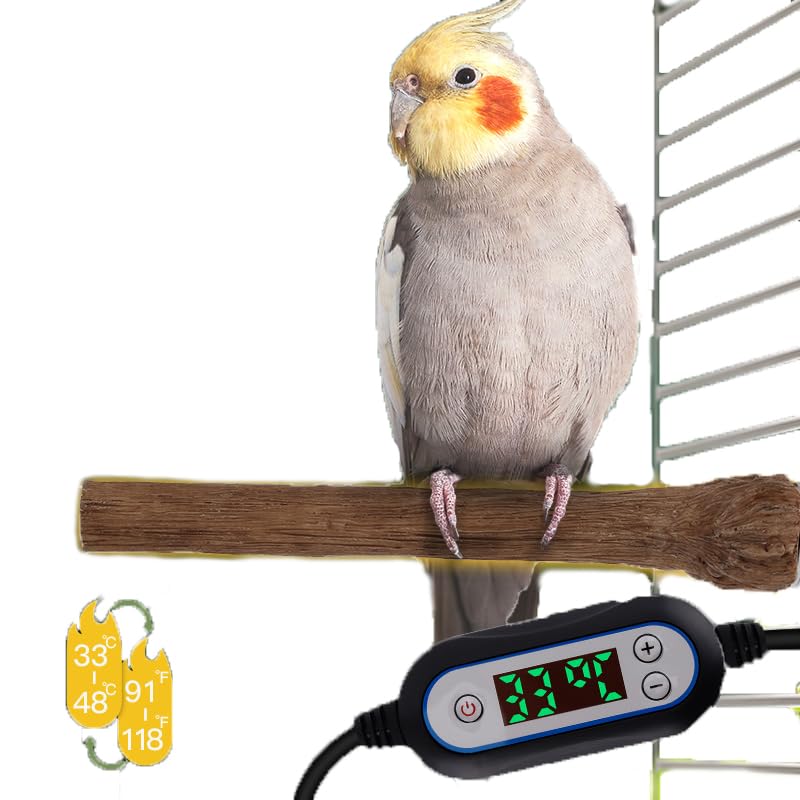 Poleiro aquecido para aves com temperatura ajustável Arigoul A0017, 20 cm