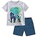 Fiream Baby Boy's Cotton Cute Short Sleeve Clothing Set (12-18Months, Set1)
