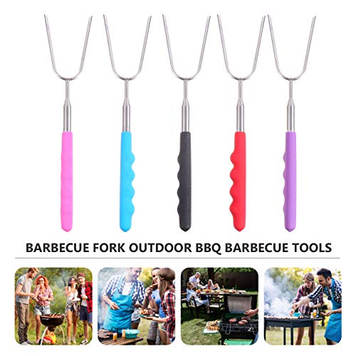 Espetos extensíveis de aço inoxidável Hemoton 5 peças para grelhar acampamento