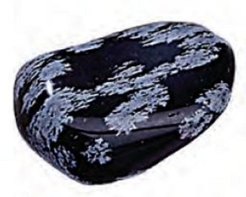 Snowflake Obsidian Rock Tumbled 1-1.5 Inch w Info Card