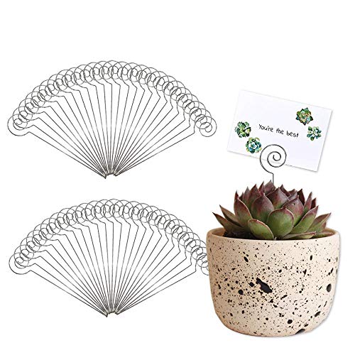 HOHIYA Floral Card Holder Pick Wire Clip Photo Picture Note Clamp Clay Cake