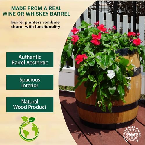 5 inch Whiskey Barrel Planter Pot - Small Outdoor Plant Pots for Garden, Patio and Indoor Home Decor - 1/2 Liter Oak Wooden Wine Barrel Planters with Drainage Holes (5" Tall) - Thumbnail 2