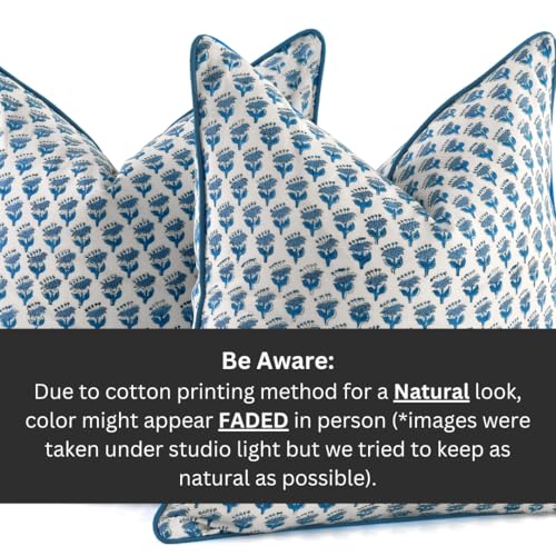 CPC 100% Cotton Throw Pillow Covers 18x18 Inch, Set of 2 Blue Block Print Pattern Couch Pillow, Cute Boho Decorative Pillows for Living Room, Bedroom with Hidden Zipper- Apatite Blue