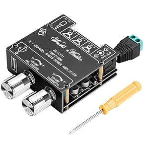 Amazon.co.jp: パワーアンプ - オーディオ: 家電＆カメラ